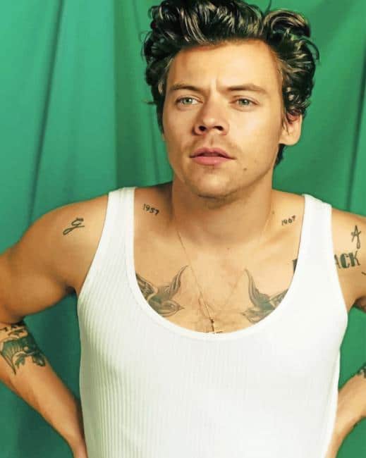 Harry Styles Green Background NEW Paint By Numbers 
