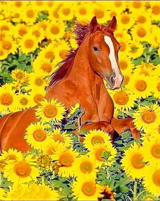 Cute Horse Sunflowers NEW Paint By Numbers 