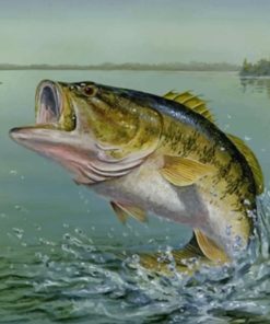Largemouth Bass Fish Paint by numbers