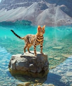 Bengal Cat In A Geographical Beauty Seascape paint by numbers