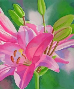 Blooming Pink Lilies Paint by numbers