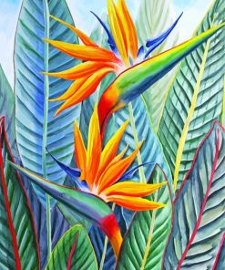 Strelitzia Bird Of Paradise Paint by numbers