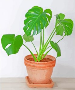 aesthetic-philodendron-paint-by-number