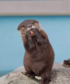 funny-Asian-small-clawed-otter-paint-by-numbers