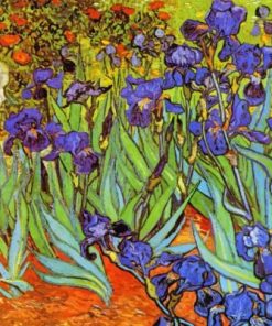 Irises Vincent Van Gogh paint by numbers