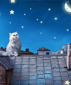 Cat Watching Moon And Stars paint by numbers