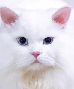 White Persian Cat paint by numbers