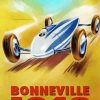 Bonneville Racing Poster Paint by numbers
