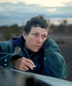 The Actress Frances Mcdormand paint by numbers