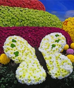 Flower Show paint by numbers