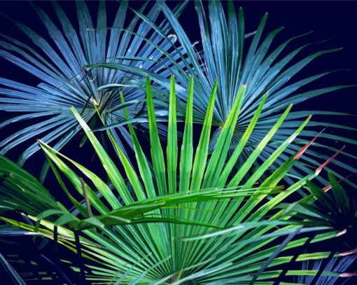Palm Frond paint by numbers