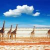 African Animals Landscape paint by numbers