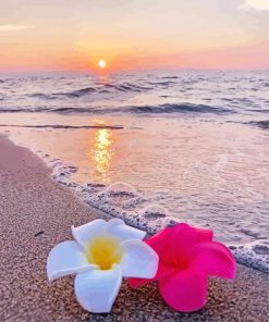 Beach Flowers At Sunset paint by number
