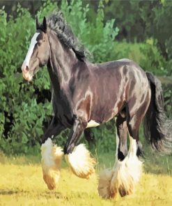 Black Shire Horse paint by number