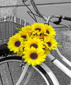 Black And White Yellow Flowers On Bike paint by number