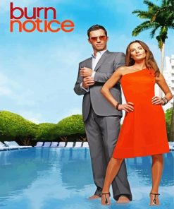 Burn Notice paint by number