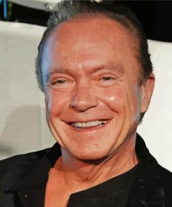 David Cassidy Actor paint by number