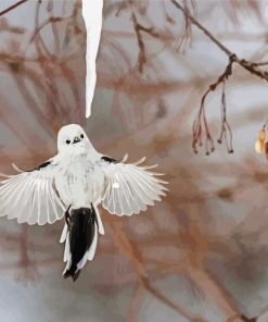 Flying Long Tailed Tit paint by number