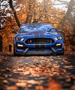 Ford Shelby GT350R Car paint by numbers