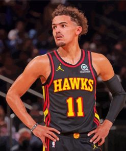 Hawks Star Trae Young paint by numbers