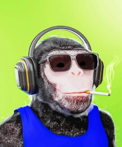 Monkey Smoker With Headphones paint by numbers