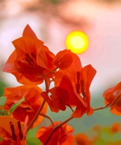 Orange Flowers Art Sunset paint by numbers