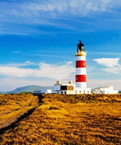 Point Of Ayre Lighthouse Isle Of Man paint by numbers