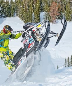 Snowmobile Rider paint by numbers