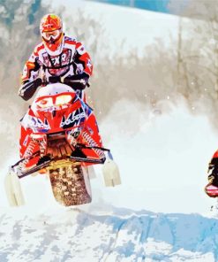 Snowmobiles Race paint by numbers