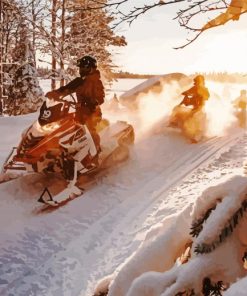 Snowmobiles Riders paint by numbers