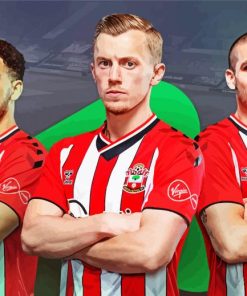 Southampton Fc Footballers paint by numbers