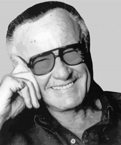 Stan Lee Black And White paint by numbers