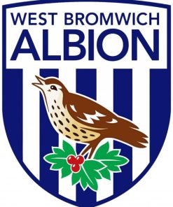 West Bromwich Albion paint by numbers