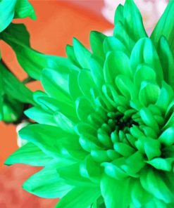 Beautiful Green Flowers paint by numbers