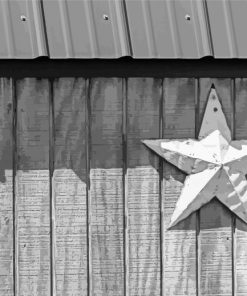 Black And White Barn Star paint by number