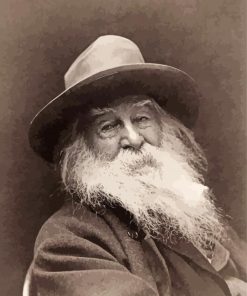 Black And White American Poet Walt Whitman paint by numbers