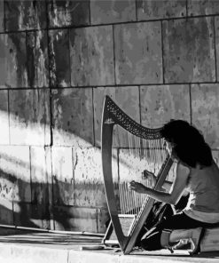 Black And White Harpist paint by number