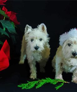 Christmas West highland Puppies paint by number