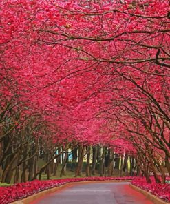Pinky Trees And Road paint by number