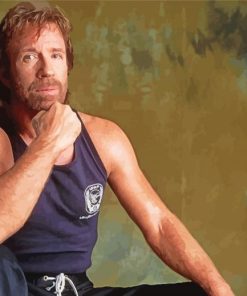 The Material Artist Chuck Norris paint by number