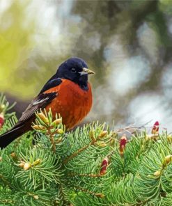 Aesthetic Orchard Oriole paint by numbers