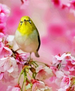 Bird In Pink Flowers Paint By Numbers
