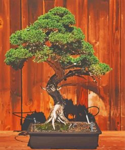 Bonsai Tree paint by numbers