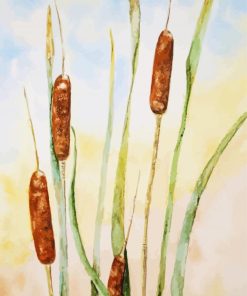 Cattail Plants paint by numbers