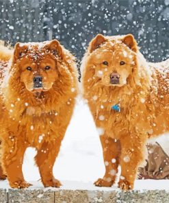 Dog Couple In Snow paint by numbers
