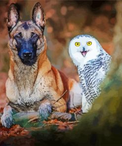 Dog And White Owl Bird paint by numbers