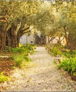 Garden Of Gethsemane paint by numbers