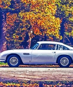 Grey Aston Martin DB5 Car paint by numbers