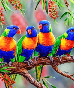 Lorikeets Row paint by numbers