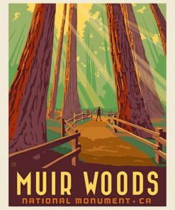 Muir Woods National Monument Poster paint by numbers